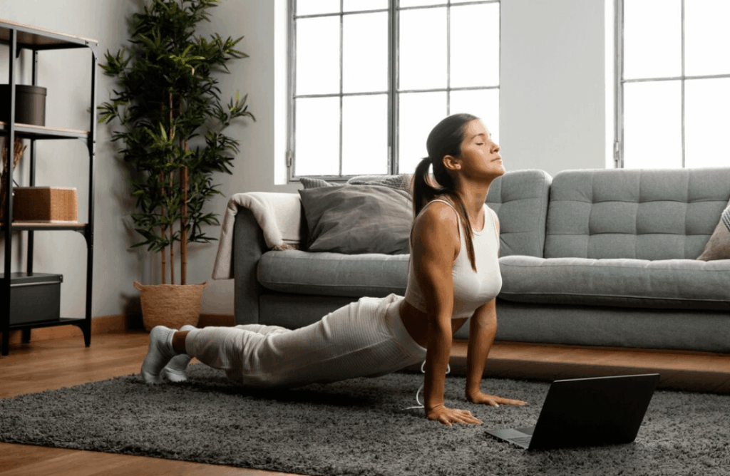 telefisioterapia modalidades