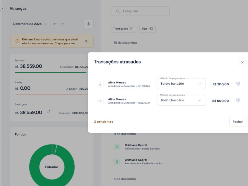 sistema wellness gestão financeira